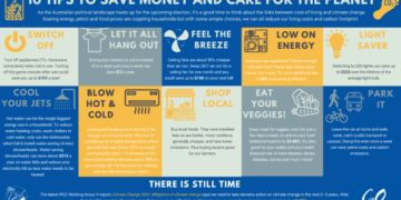 10 tips from the C2O Consulting team to save money and care for the ...