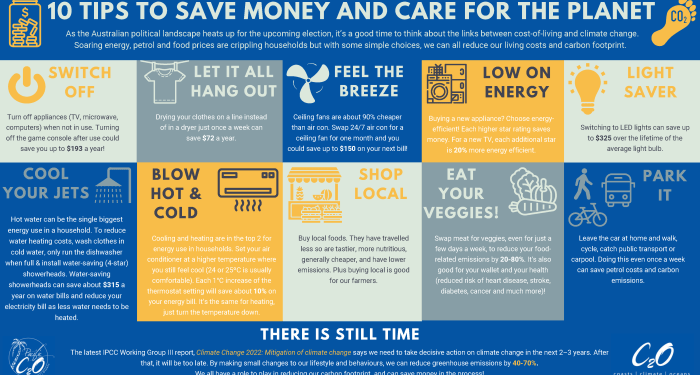 10 tips from the C2O Consulting team to save money and care for the ...