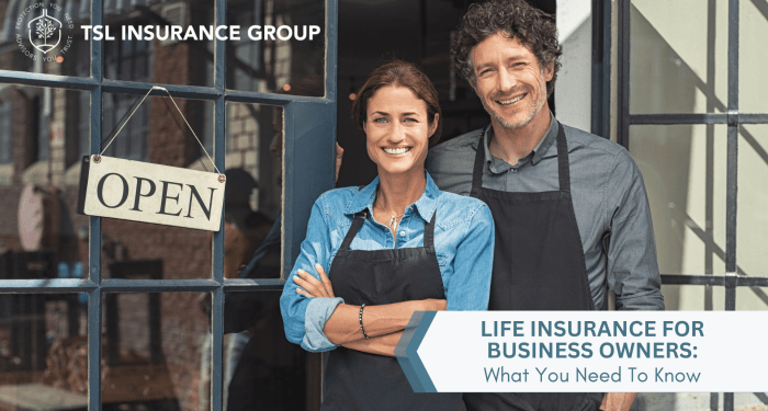 Life Insurance for Business Owners: What You Need to Know - TSL ...